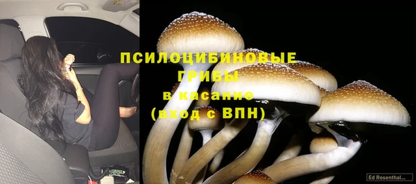 круглые Магас