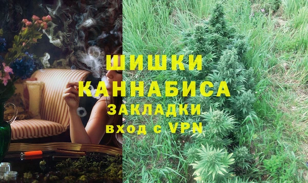 гидра Майский